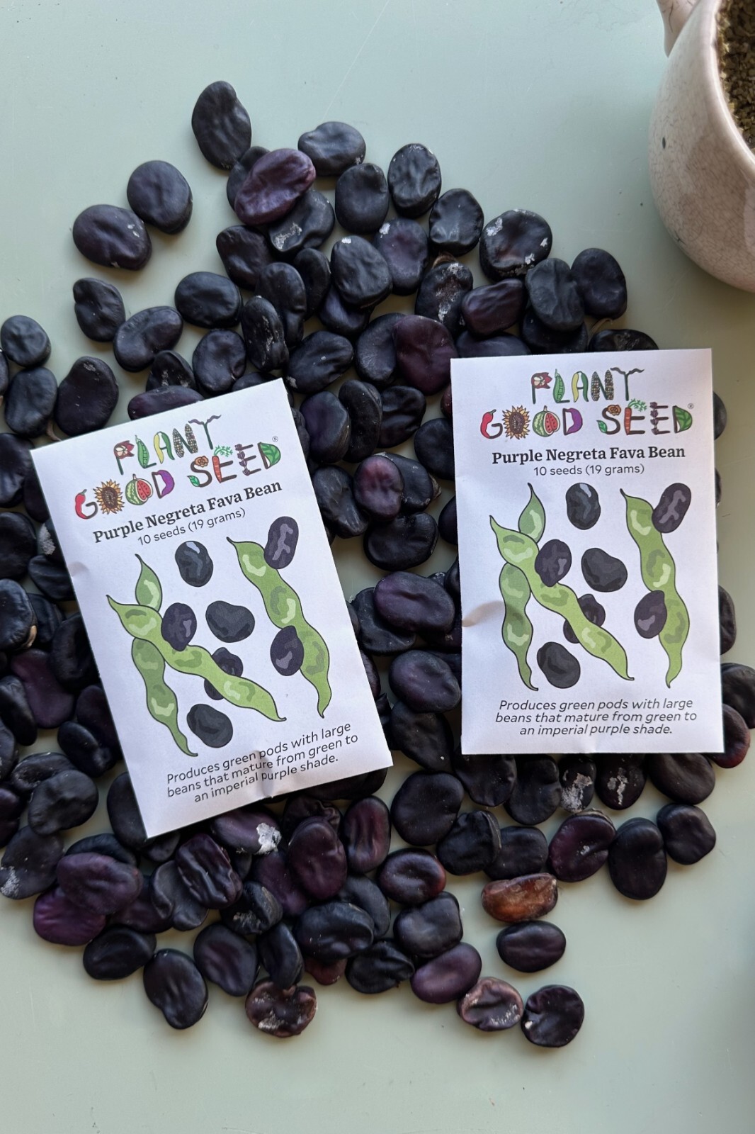 Negreta Purple Fava Bean Seed Packet – 10 seeds, Certified Organic Heirloom Faba
