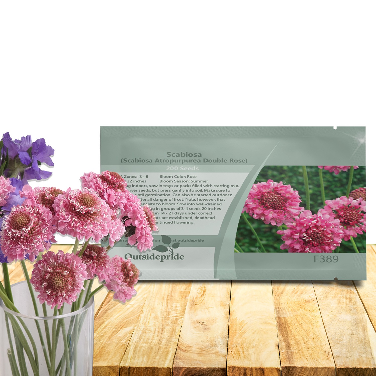 200 Seeds Scabiosa Rose Drought Tolerant Pincushion Garden Flower Plant Seeds