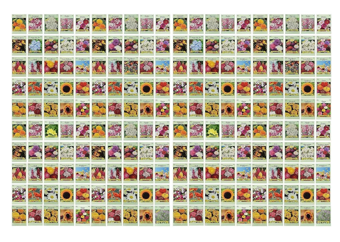 200 Assorted Flower Seed Packets – Bulk Flower Seeds, 20+ Varieties for Garden