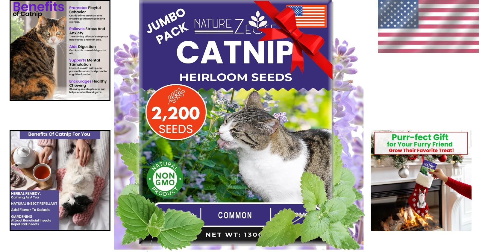 Freshly Harvested Catnip Seeds – Over 2200 Seeds for a Fluffy Garden Sanctuary