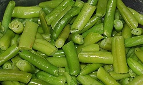 Blue Lake Fm1K Pole Green Beans 50 Seeds Long, Tender Pods Crisp Texture