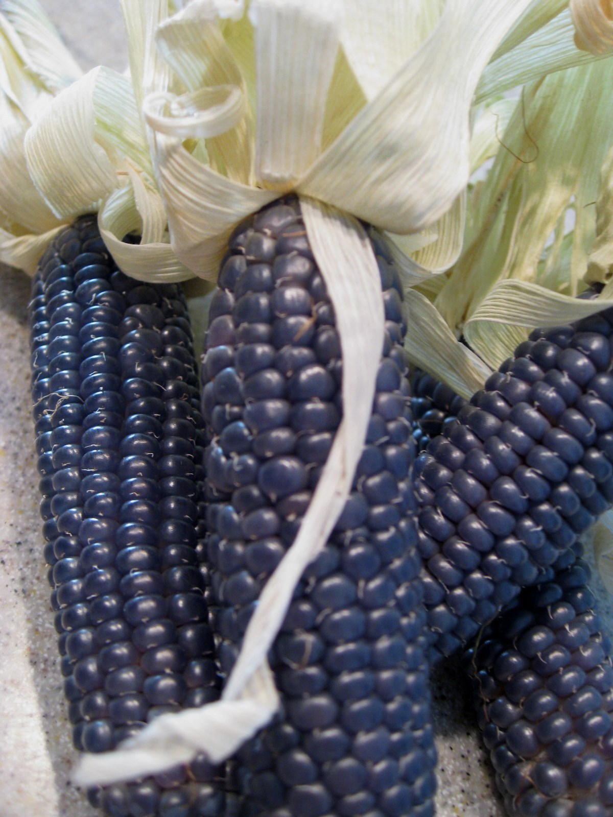Mini Blue Popcorn Seeds – Makes Great Tasting Popcorn KIDS LOVE IT! COMB. S/H