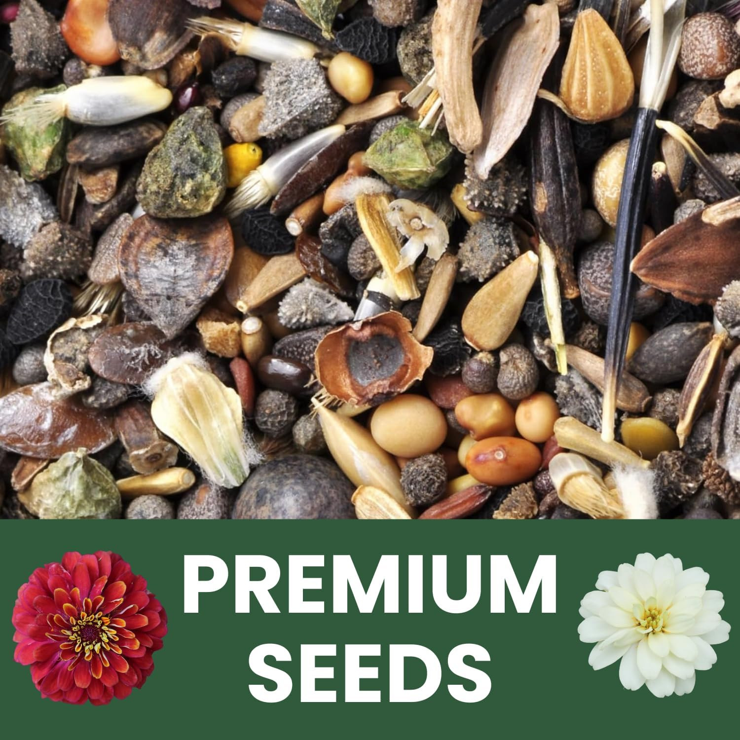 Zinnia Crazy Blend – 4,000 Seeds for Planting – 1 Ounce Pouch