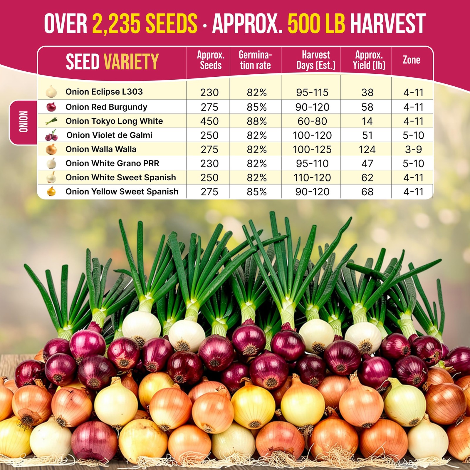 8 Onion Seeds Variety Pack Heirloom, Non-GMO, Sets for Indoors, Outdoors Gard…