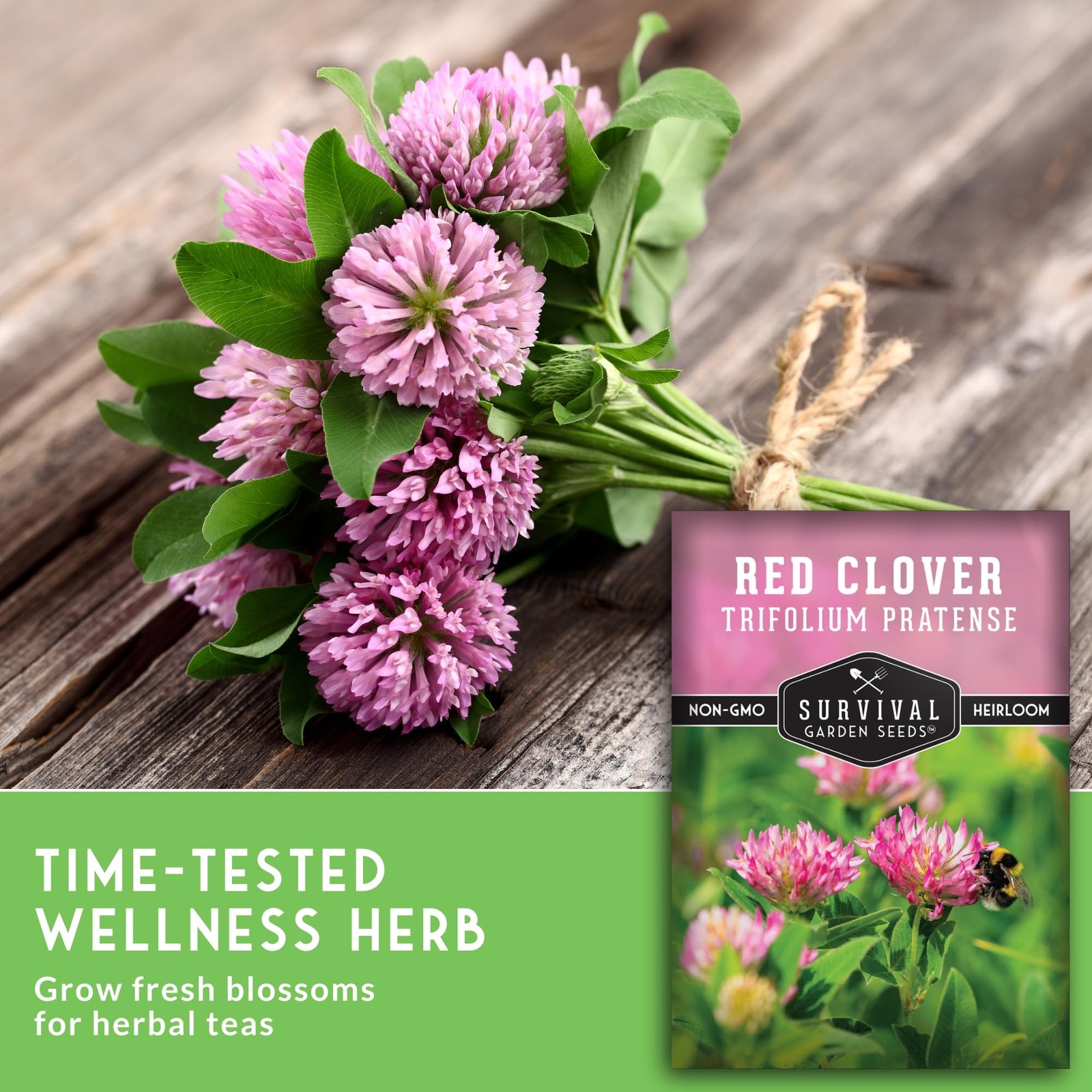 Red Clover Seeds Heirloom Non-GMO – Nitrogen-Fixing Cover Crop 2 Packs – Soil