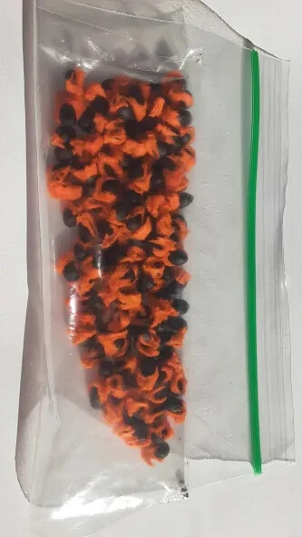 Bundle of 5 GIANT WHITE BIRD of PARADISE SEEDS (Strelitzia nicolai)