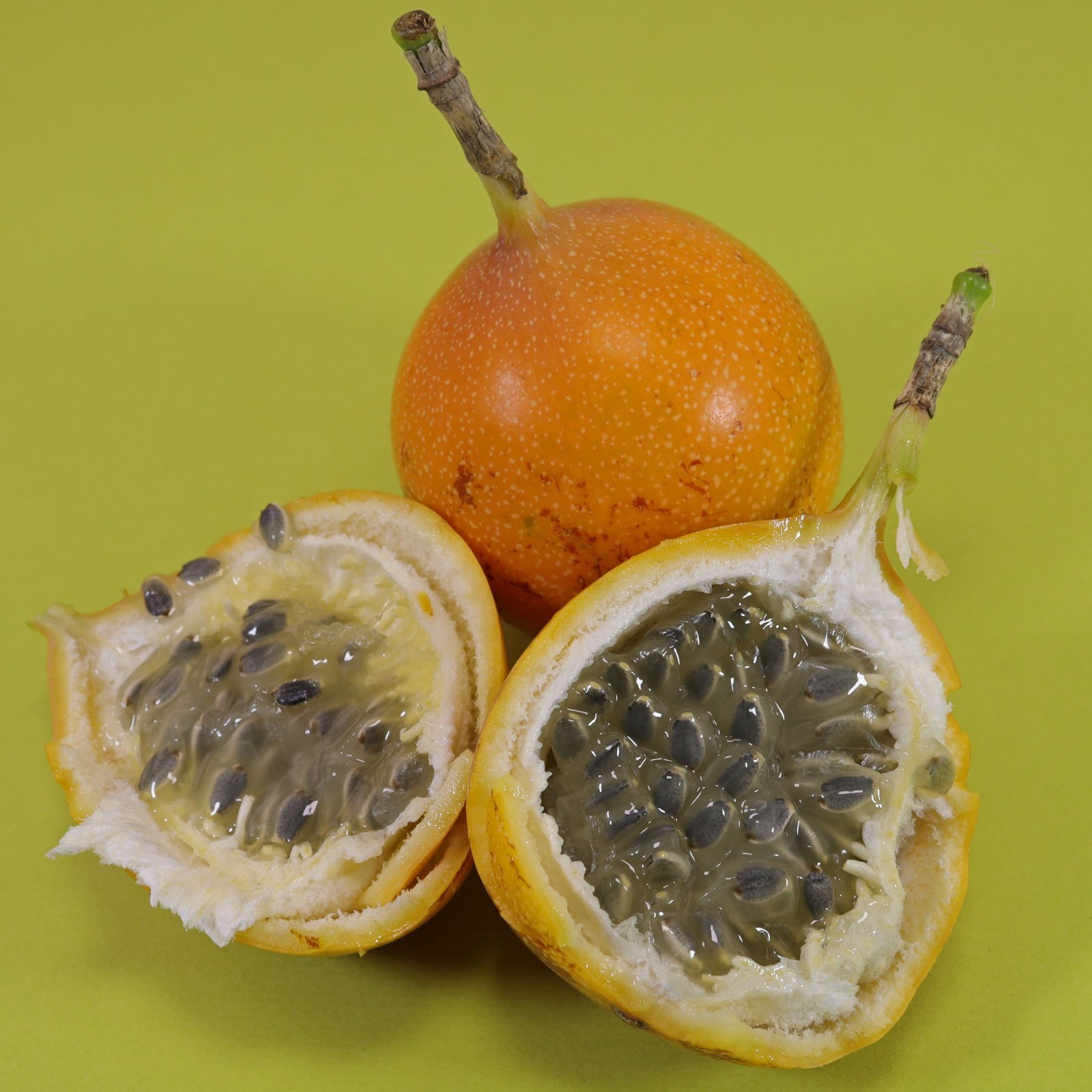 Passiflora Ligularis 50 Freshly Harvested Seeds, Sweet Granadilla or Grenadia