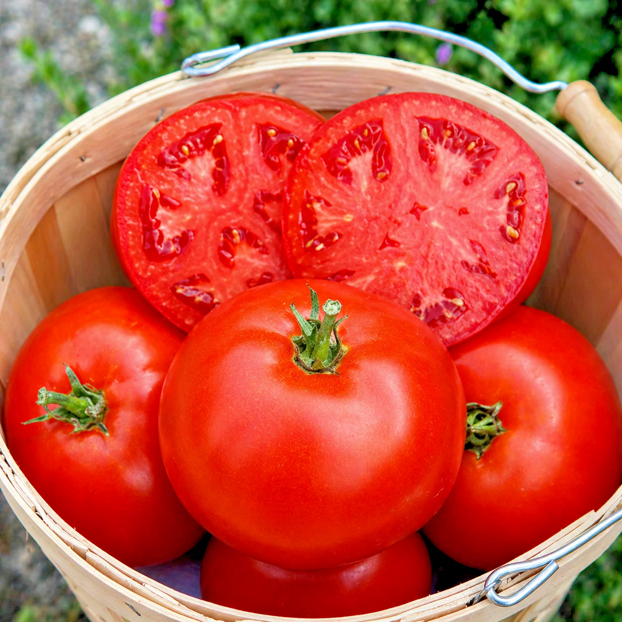 10 Rare Umpqua Beauty Tomato Seeds-Heirloom-Giant Slicing Non-GMO USA