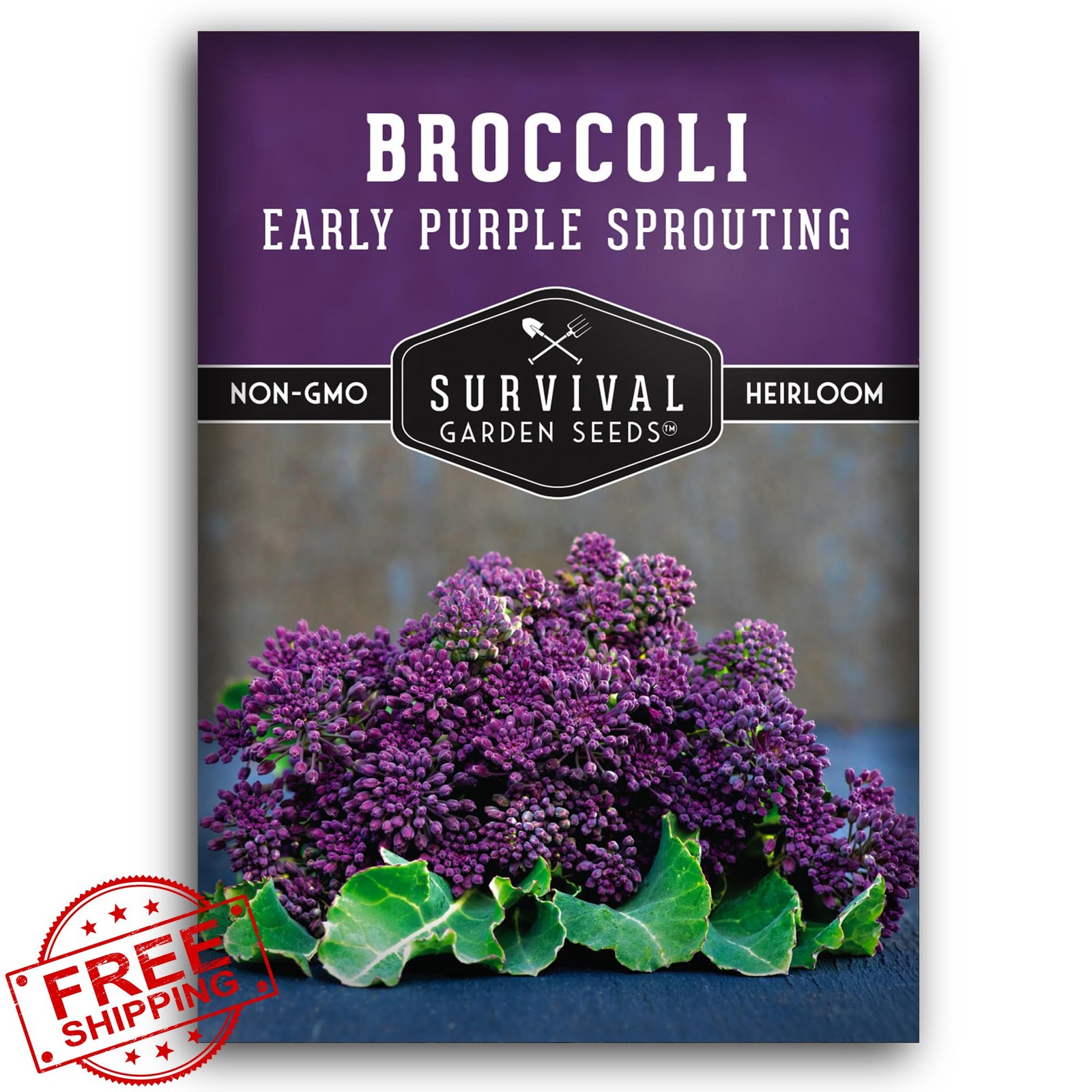 Early Purple Sprouting Broccoli Seeds Heirloom Non-GMO Burgundy Purple Heads