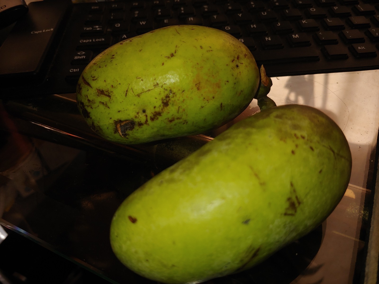 2025 Tree Seeds Asimina Triloba BANANA Indiana 100 Wild Paw Paw Native Non-gmo