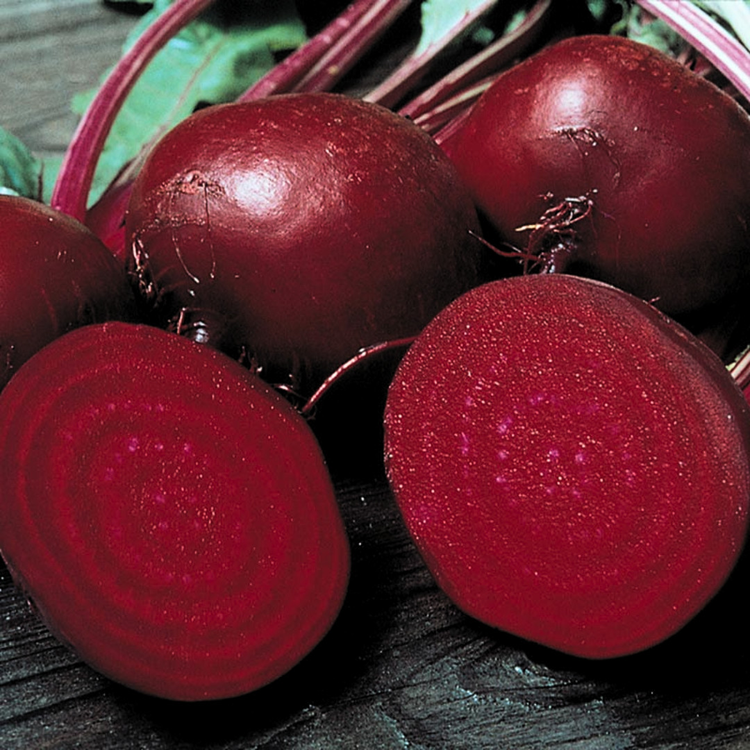 Fresh Detroit Dark Red Beet Seeds | Heirloom Non-GMO | Fresh Vegetable Seeds