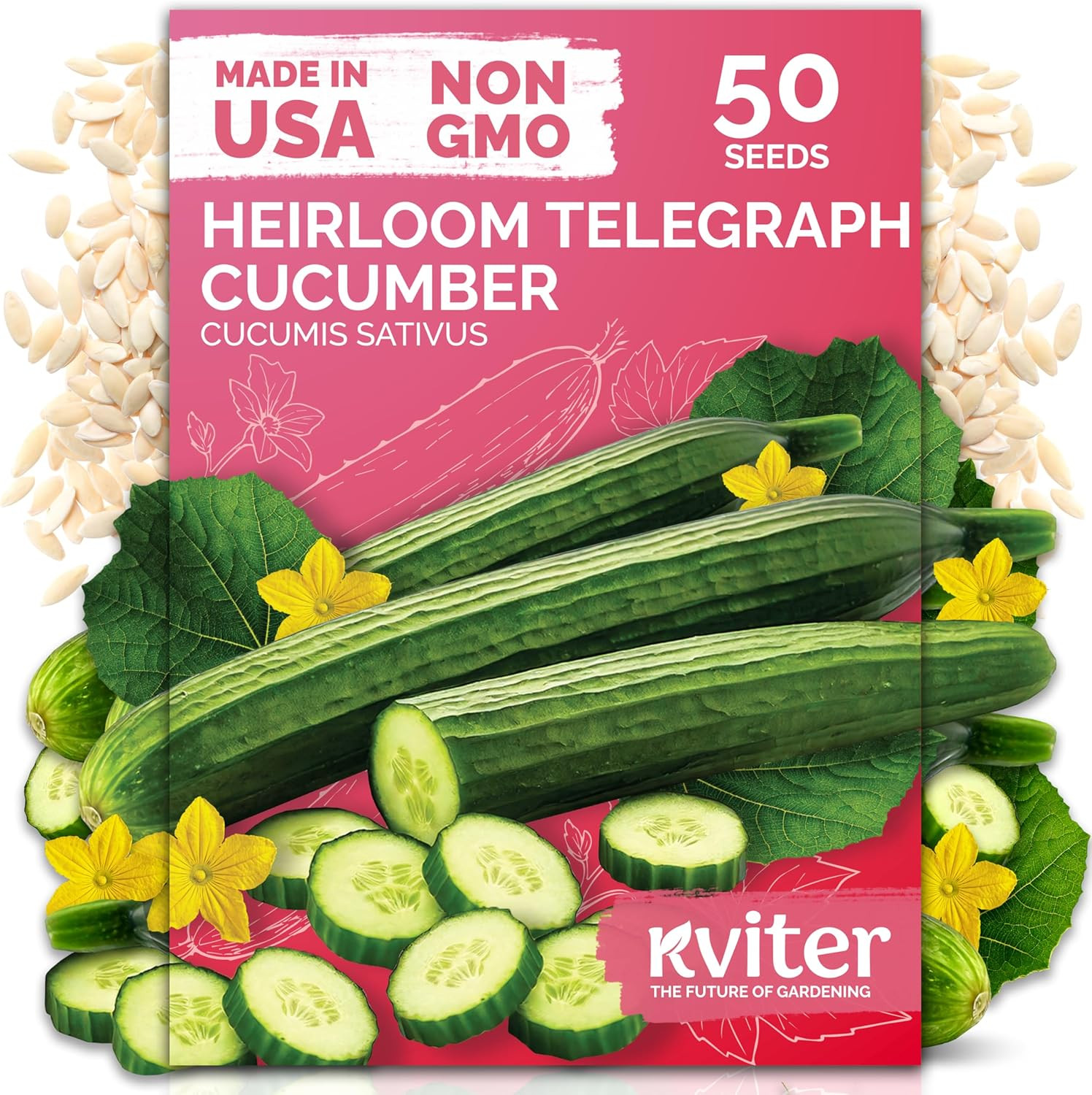 50 English Telegraph Cucumber Seeds (Cucumis Sativus) – English Cucumber Organic