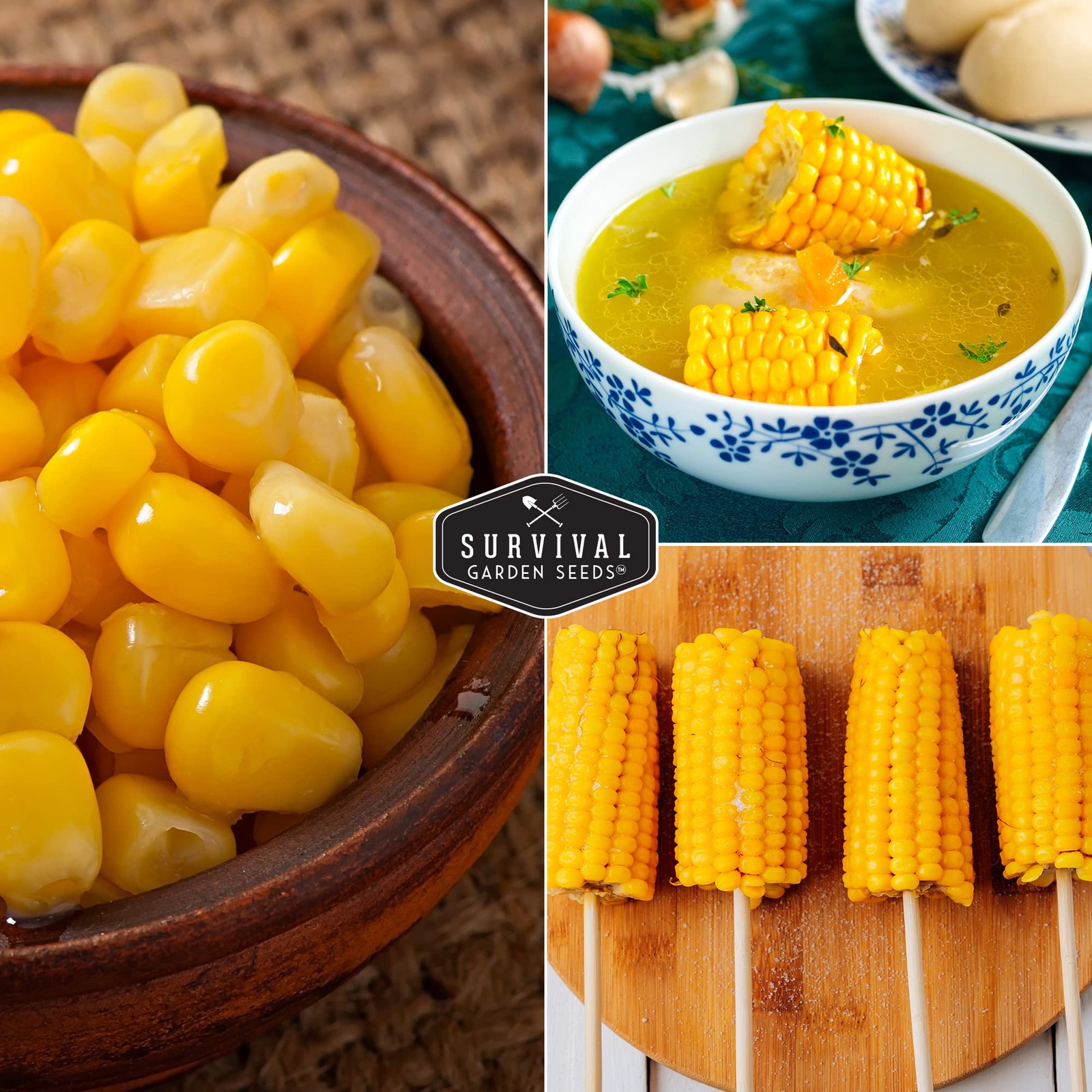 Sweet Corn Seeds for Planting 5 Packs NonGMO Heirloom for Vegetable Garden