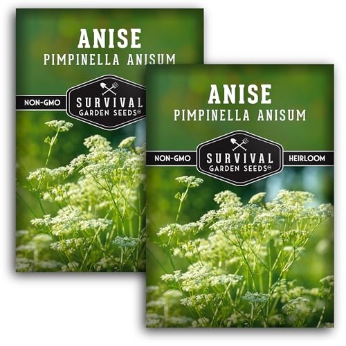 Anise Seeds for Planting – Sweet Anise Herb (Pimpinella anisum) – Culinary 2
