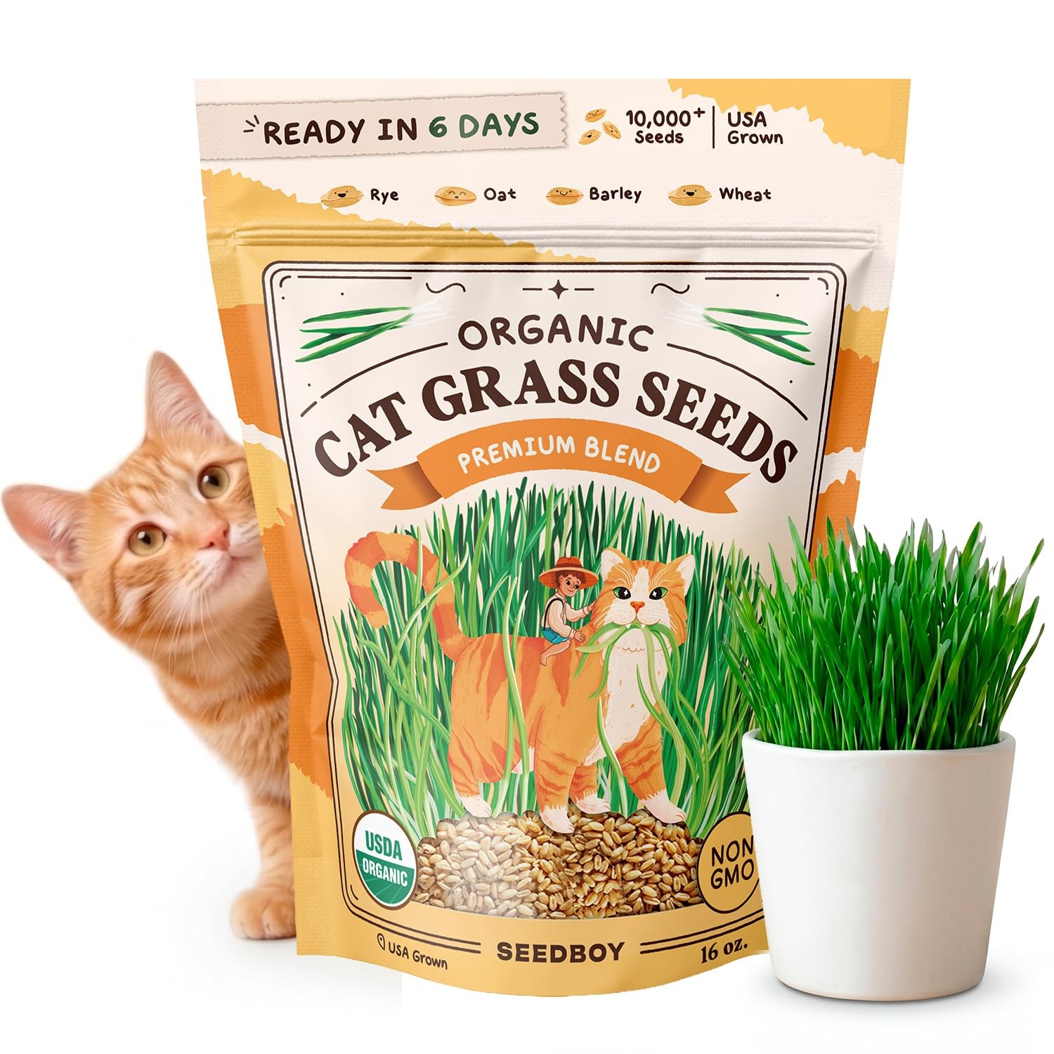 Organic Cat Grass Seeds for Planting, Non-GMO Wheat, Oat, Rye, and Barley Cat…