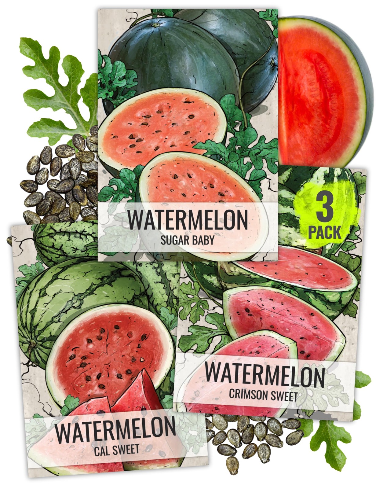 Watermelon Seeds for Planting Fruits – Non-GMO Heirloom & Untreated Water Mel…