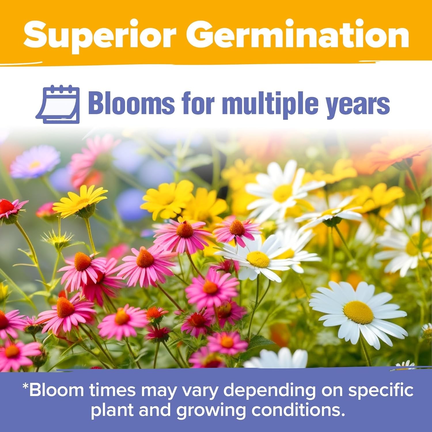 Pollinator Garden Wildflower Seed Mix