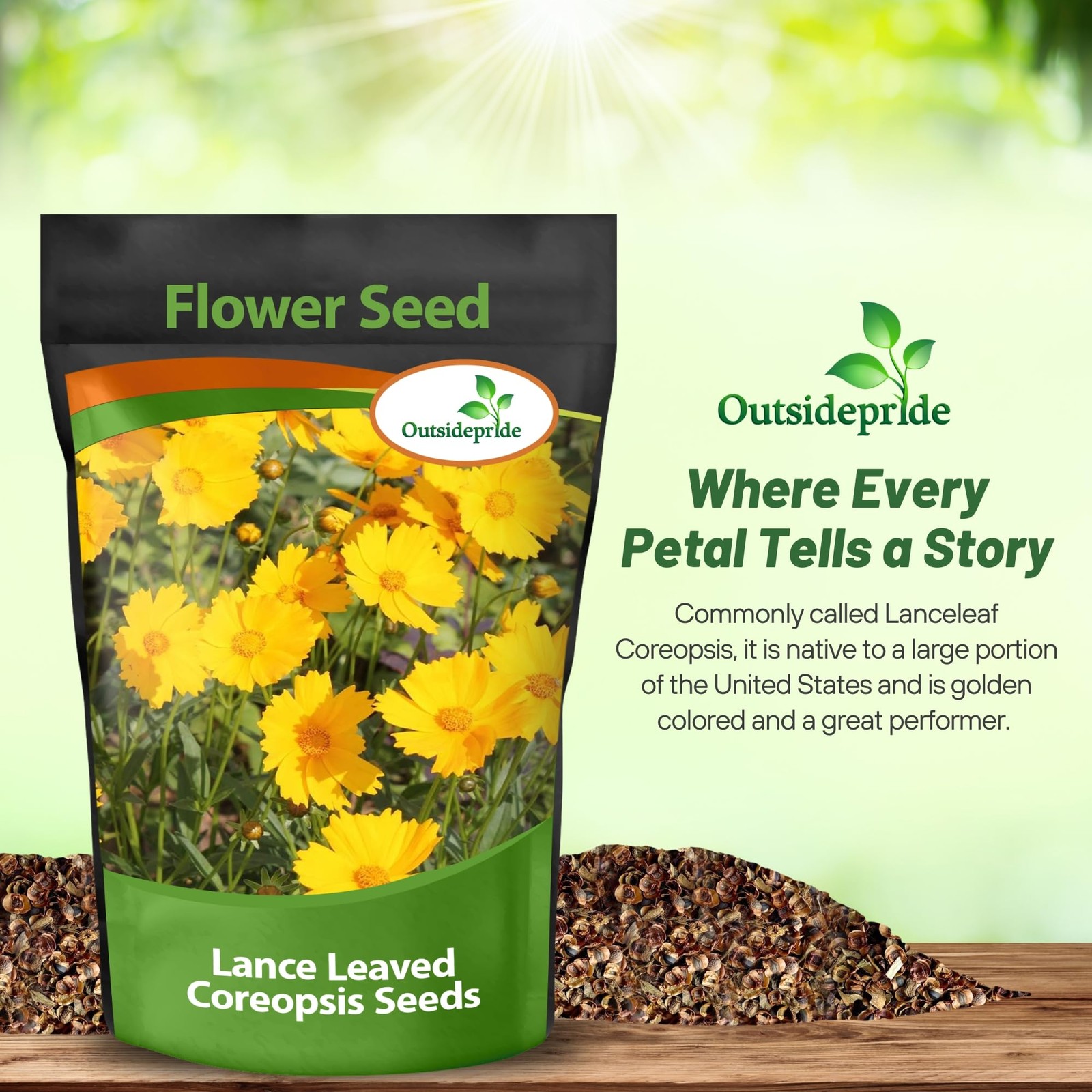 Lance-leaved Coreopsis Seeds – 1 lb. Perennial, Humidity & Drought Tolerant F…