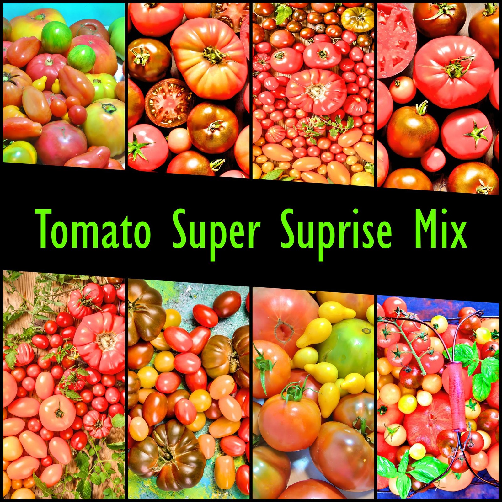 Heirloom Tomato Seeds Box Garden Seeds LLC Super Surprise Mix USA Grown