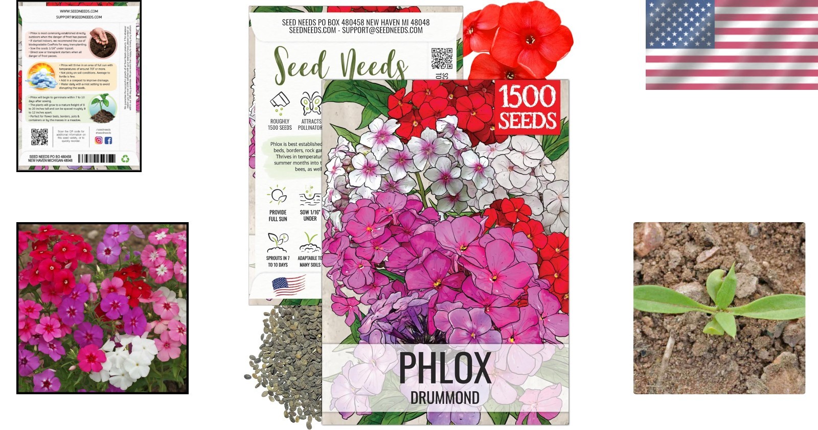 Vibrant Phlox Seeds for Planting – 1,500 Heirloom Blooms to Enrich Your Garden