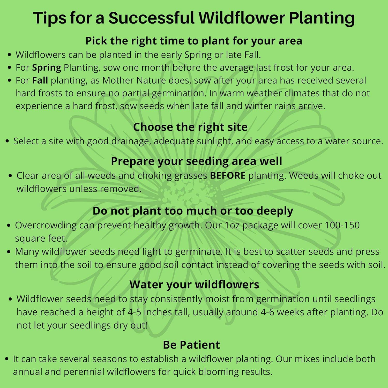 Drought Tolerant Wildflower Seeds – 4Oz Packet, Open-Pollinated Bulk Flower Seed