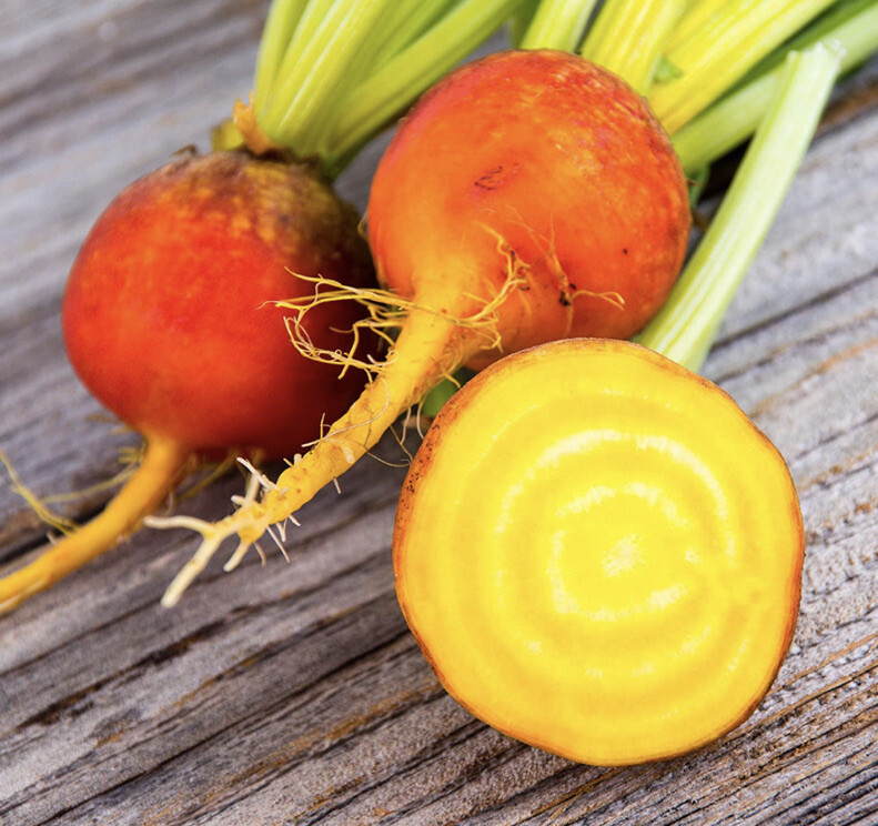 GOLDEN DETROIT BEET – HEIRLOOM – ORGANIC – 50 SEEDS
