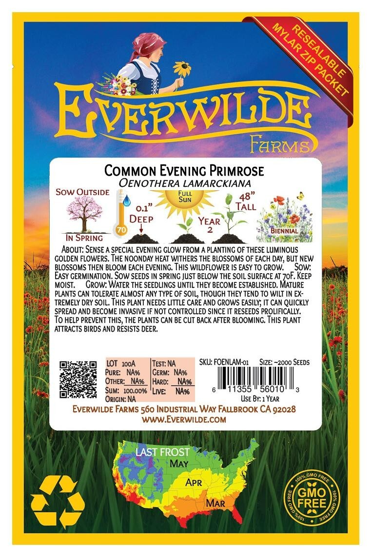 2000 Common Evening Primrose Wildflower Seeds – Everwilde Farms Mylar Packet