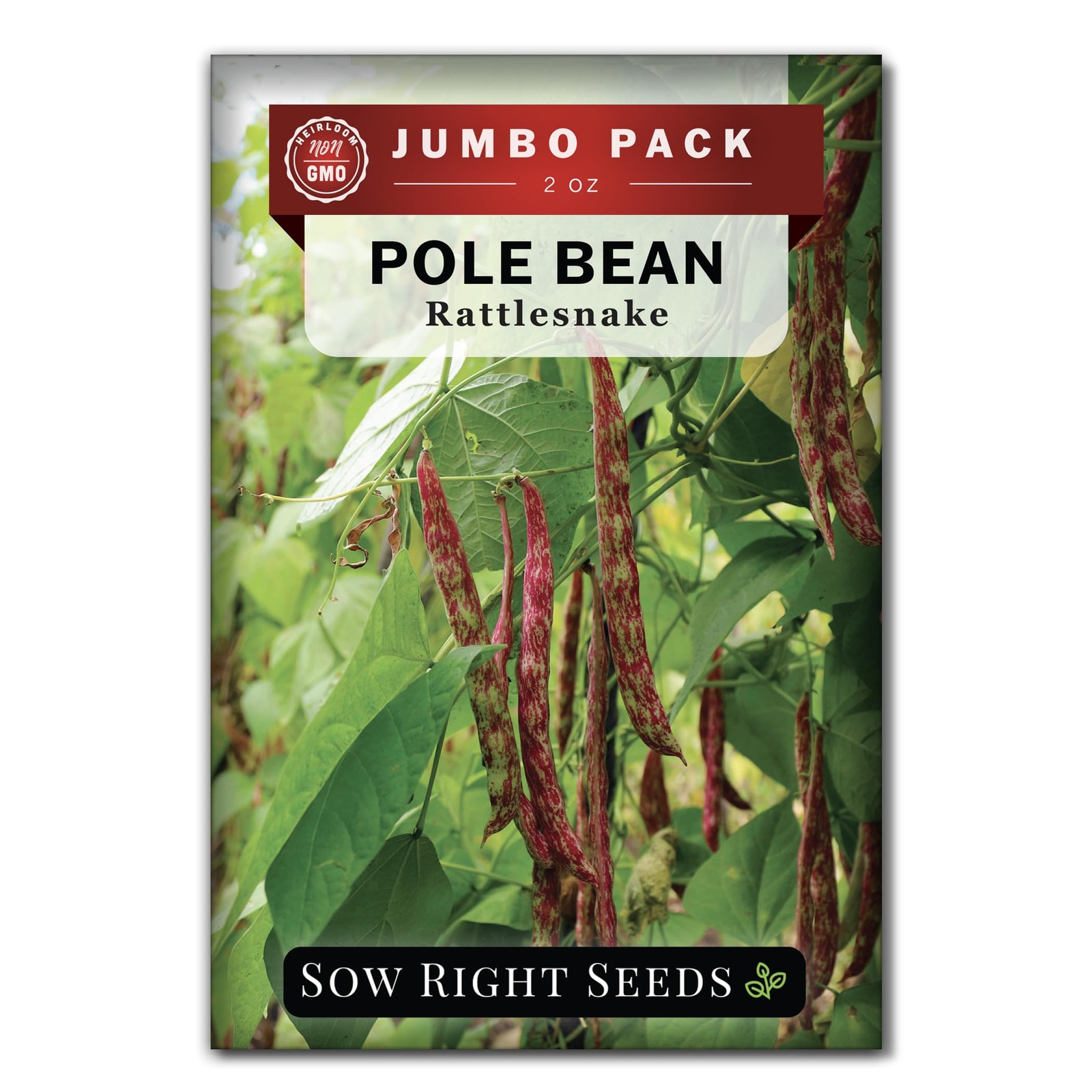 Bulk Rattlesnake Pole Bean Seeds NonGMO Heirloom for Home Garden Planting