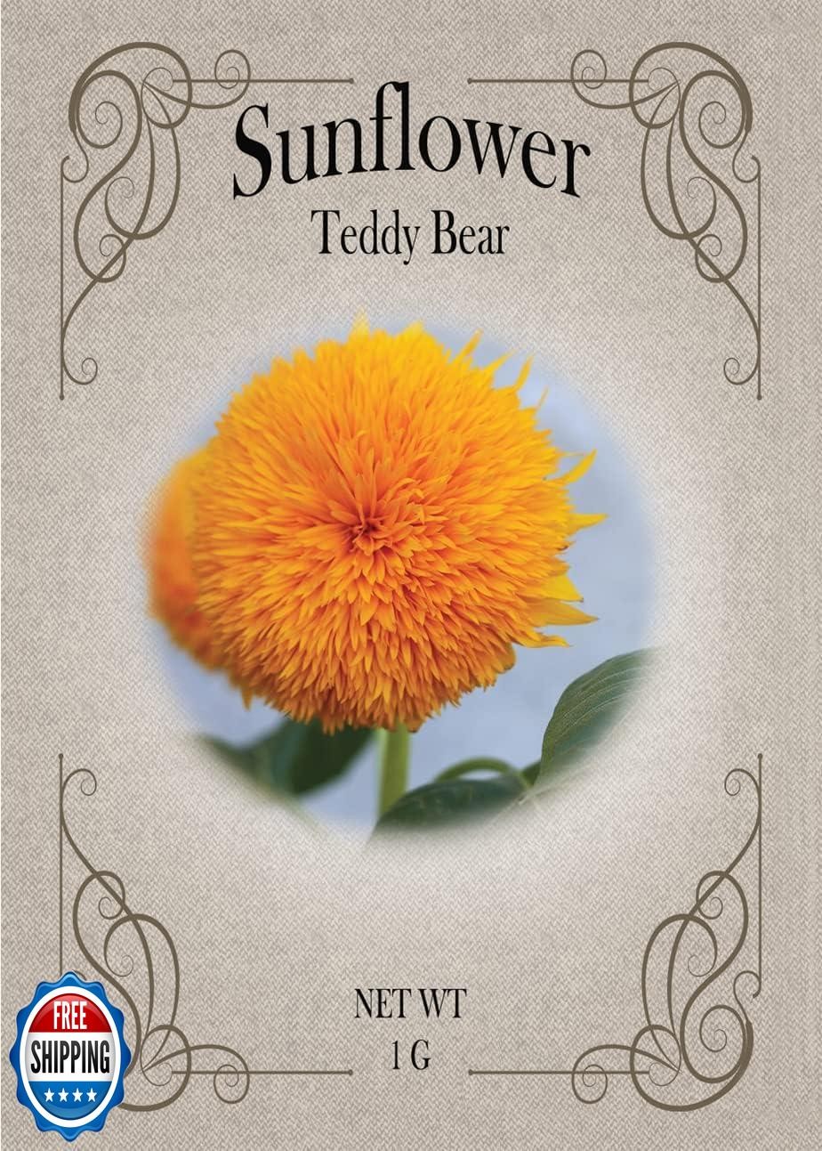 Black Duck Brand Set of Flower Seed Packets! Flower Seeds in Bulk – Great for