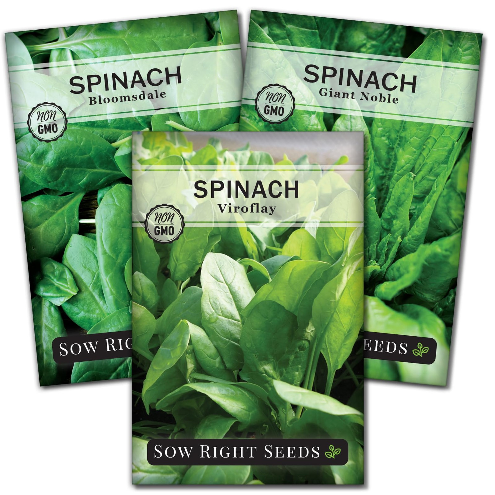Spinach Seed Collection Viroflay, Malabar & Bloomsdale NonGMO, Cold Hardy