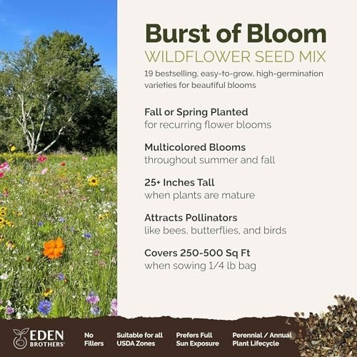 Wildflower Mixed Seeds for Planting – 120,000+ Seeds, Attract Pollinators, 1/4 l