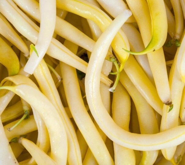 30 ct Golden Wax Bush Bean – NON-GMO / Heirloom