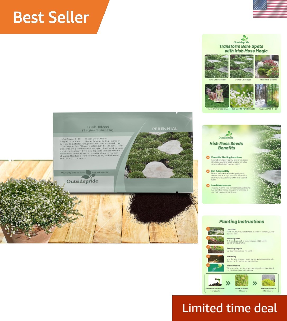 Moisture-Retaining Irish Moss Ground Cover Seeds – 5000 Count, GMO-Free