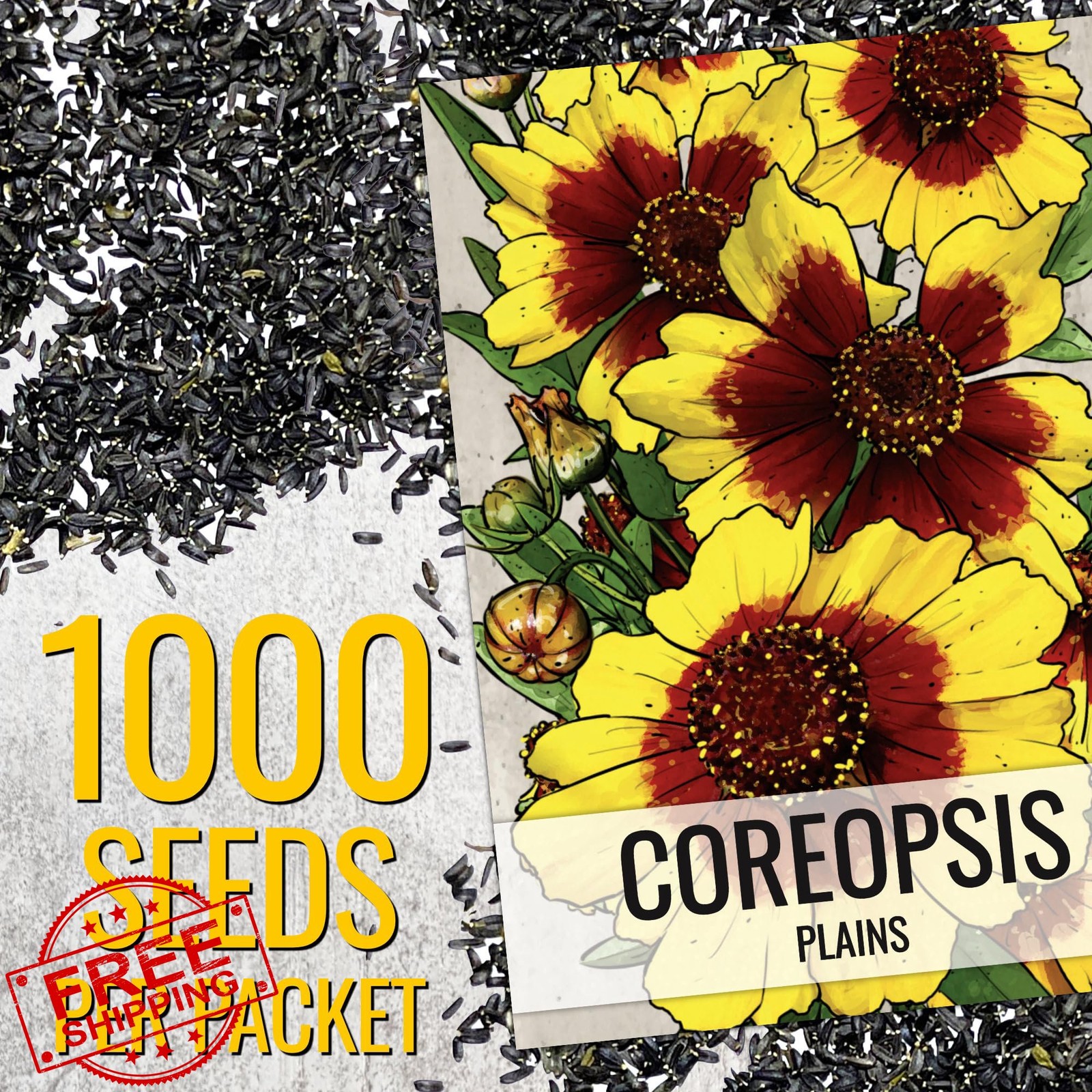 Coreopsis Plains Seeds 1000 Heirloom Annual Wildflower Garden Planting