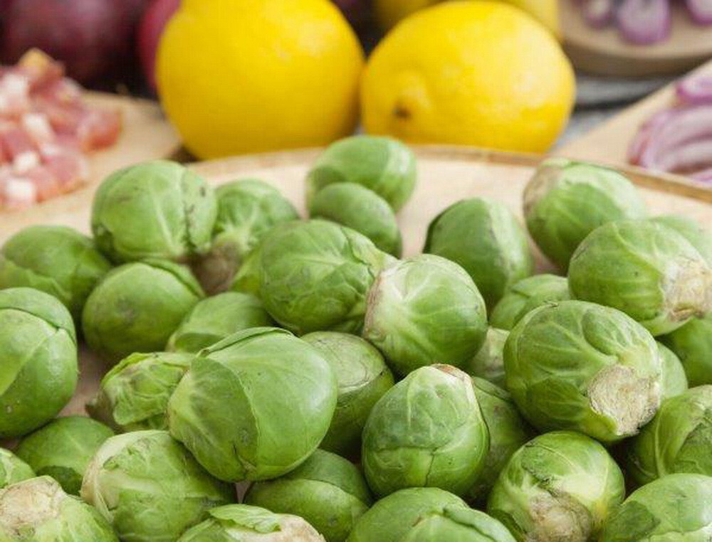 1500 Brussel Sprouts Seeds – Long Island Improved – Premium Non-GMO, OP Fresh