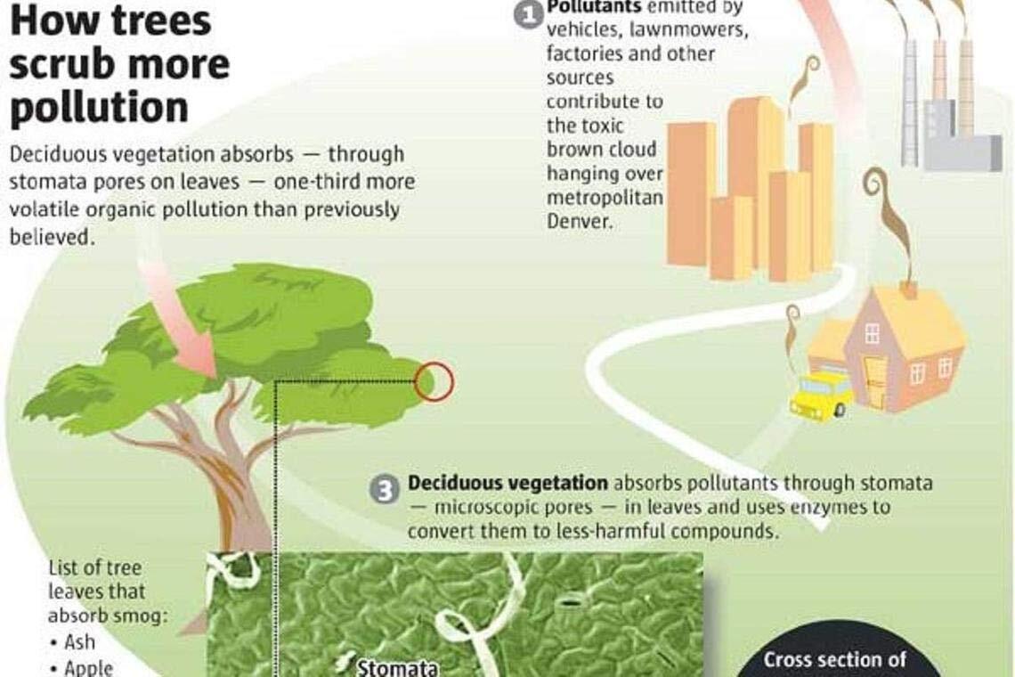 EarthCare – Carbon Neutral Imprint Kit – Counteract Your Carbon Footprint by Pla