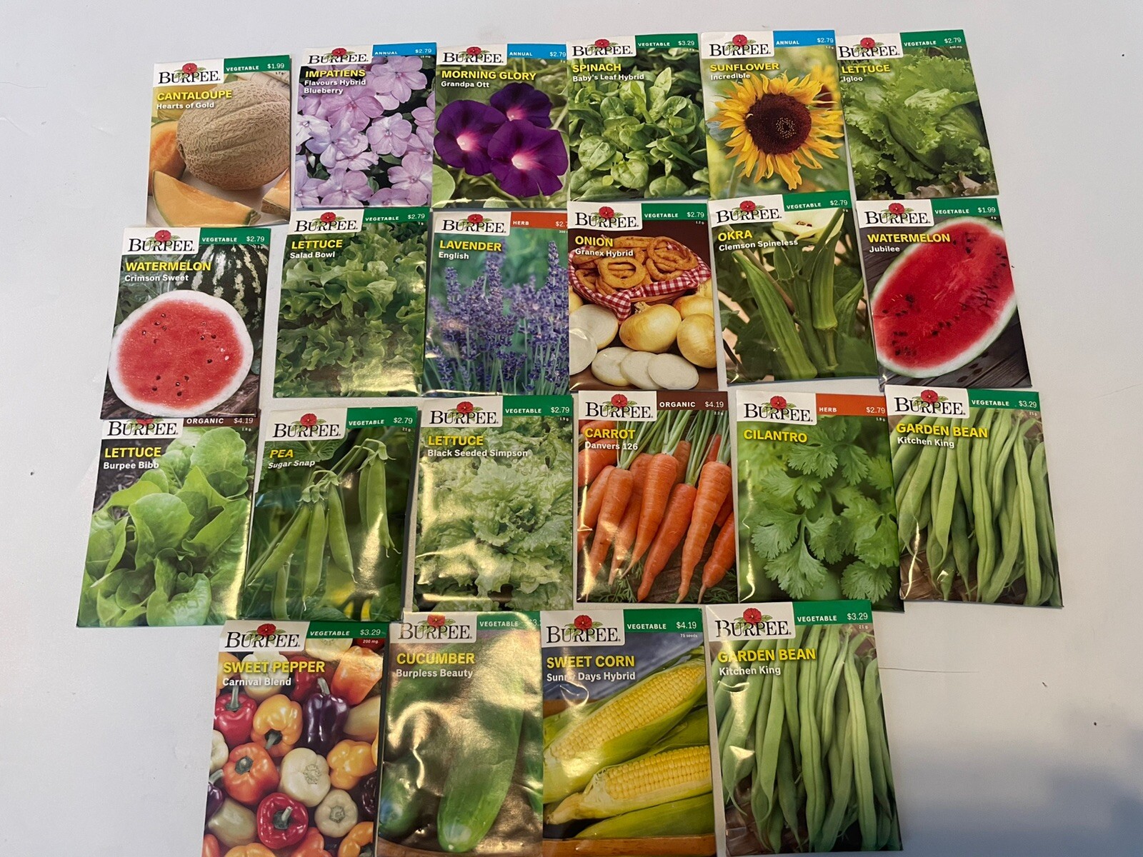 Garden Seeds Lot of 22 Packs of Burpee Vegetable & Herbs Dated 2021