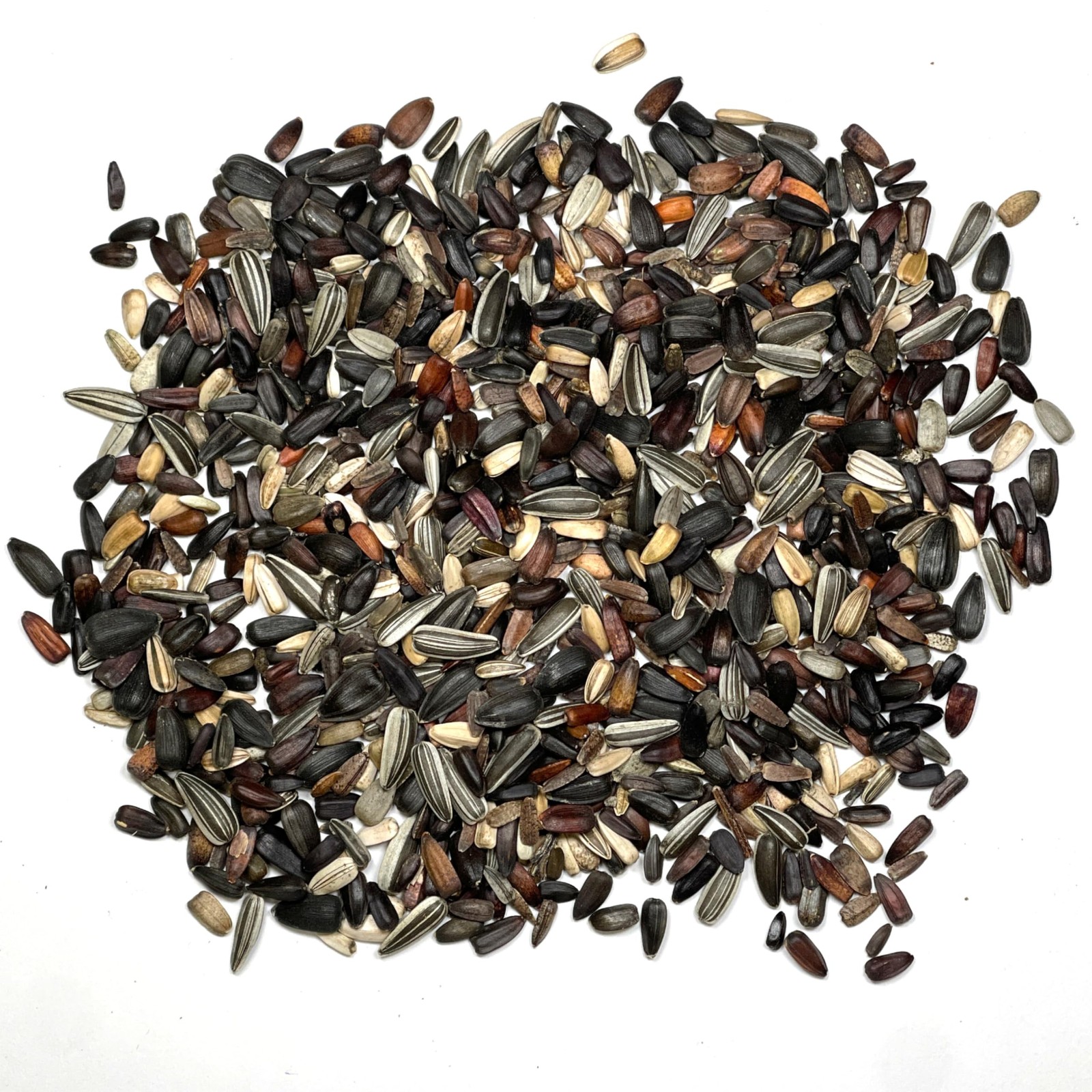 Sunflower Seeds Mix 7 Varieties of Helianthus Annuus for Vibrant Gardens