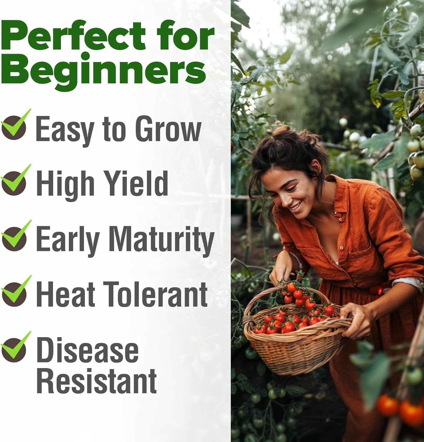 Grow Your Own Food: 2-Pack Cherry Tomato Seeds – Easy Planting for Beginners