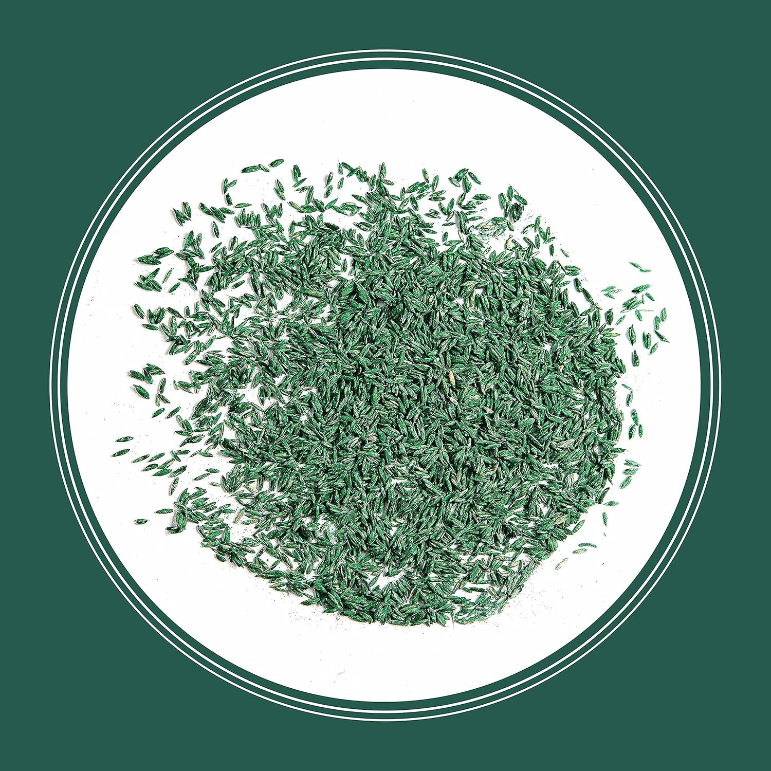 Smart Seed Sun and Shade Tall Fescue Grass Seed Mix for Southern Lawns 3 Lb