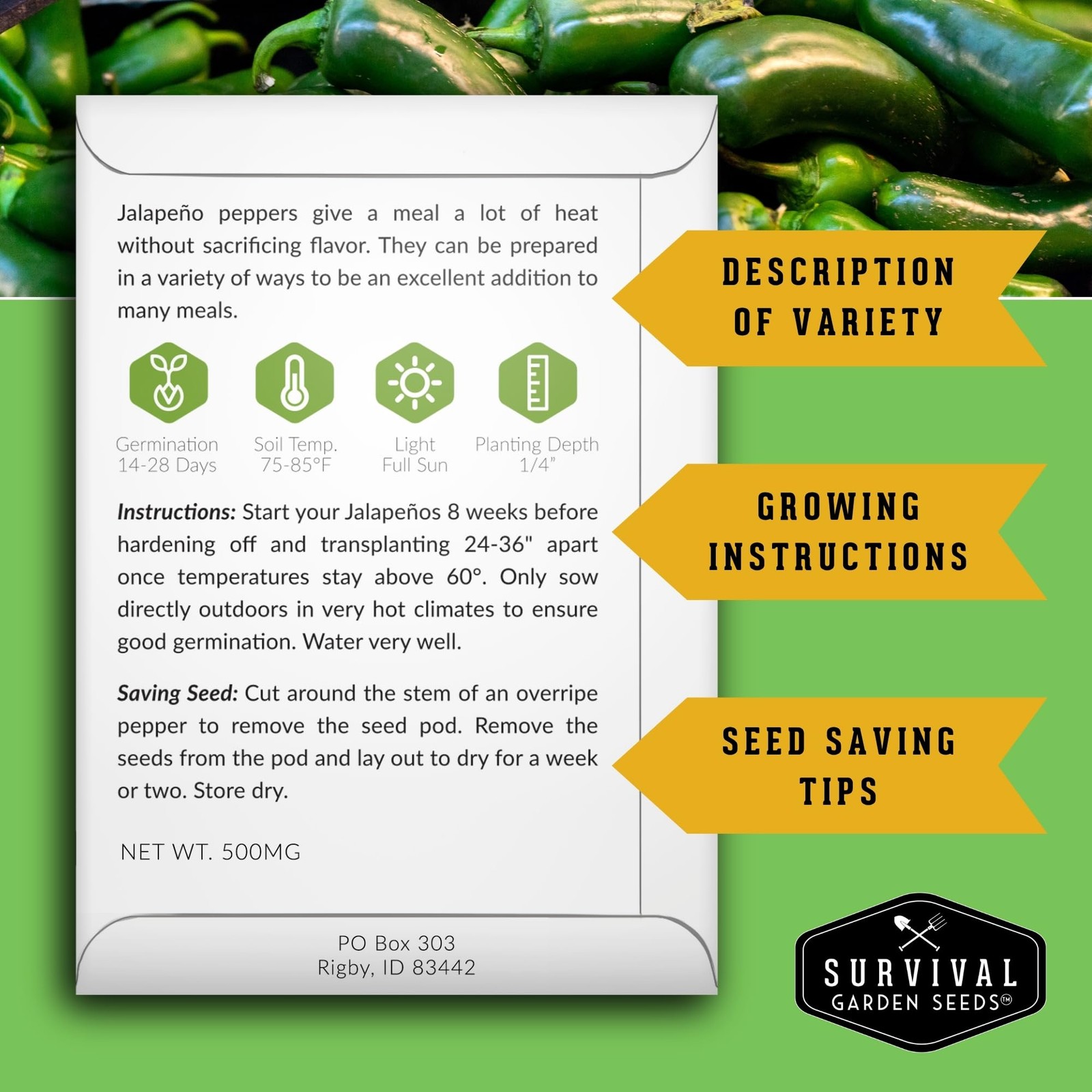 Hot Pepper Seeds Variety Pack for Planting | 4 Varieties: Jalapeno, Serrano, …