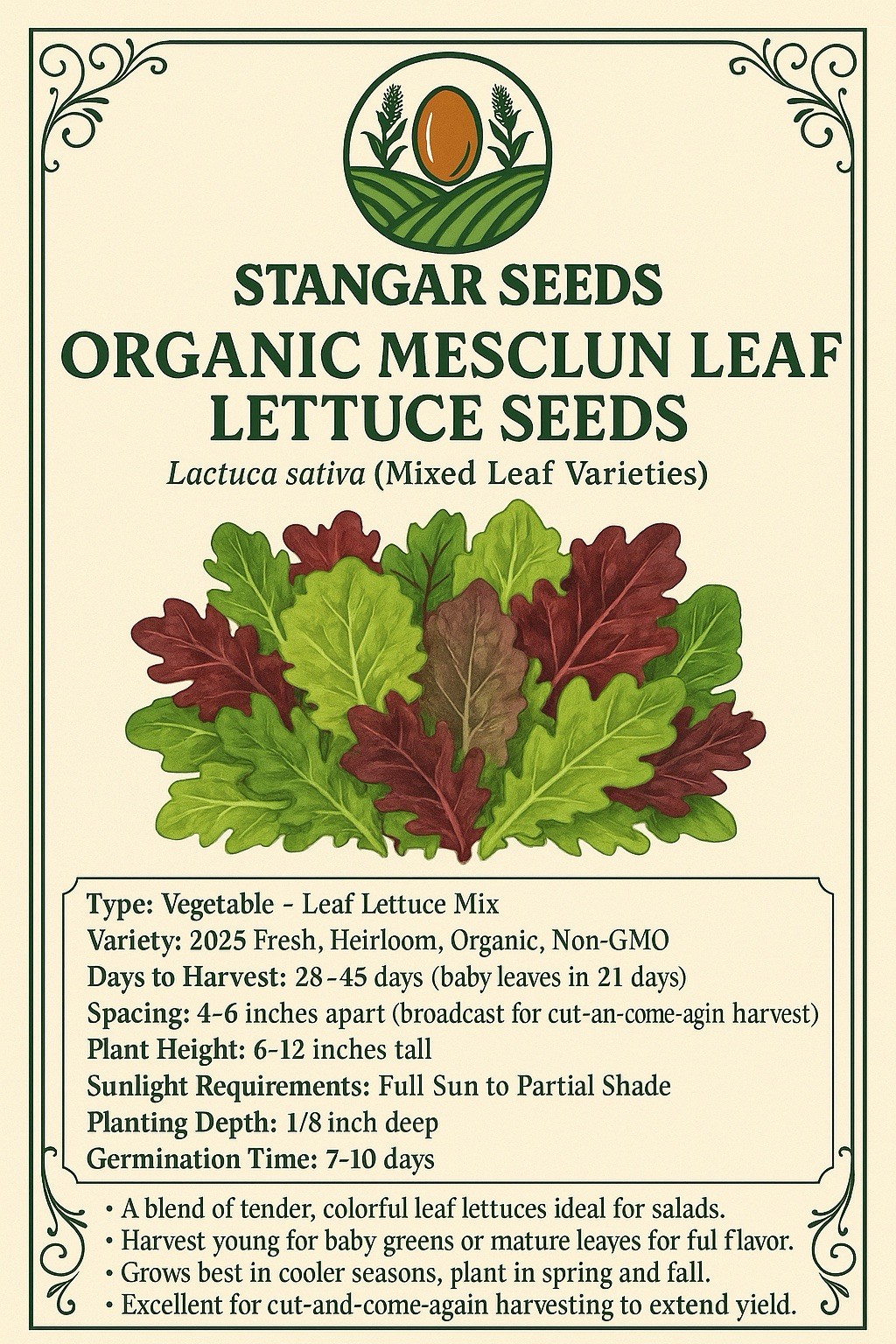 Organic Mesclun Leaf Lettuce Seeds Fresh Harvest for Gardens 2026 USA Heirloom