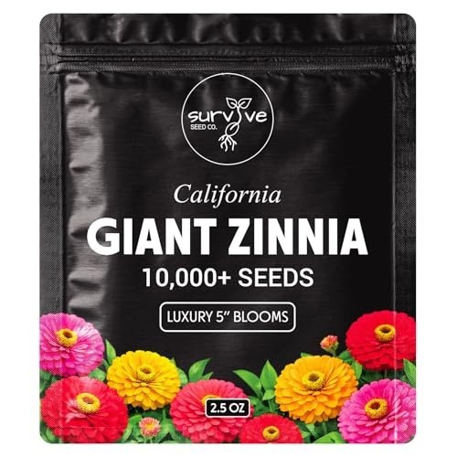 10,000 Non-GMO Zinnia Seeds – California Giants Wildflower Seeds for Planting, B