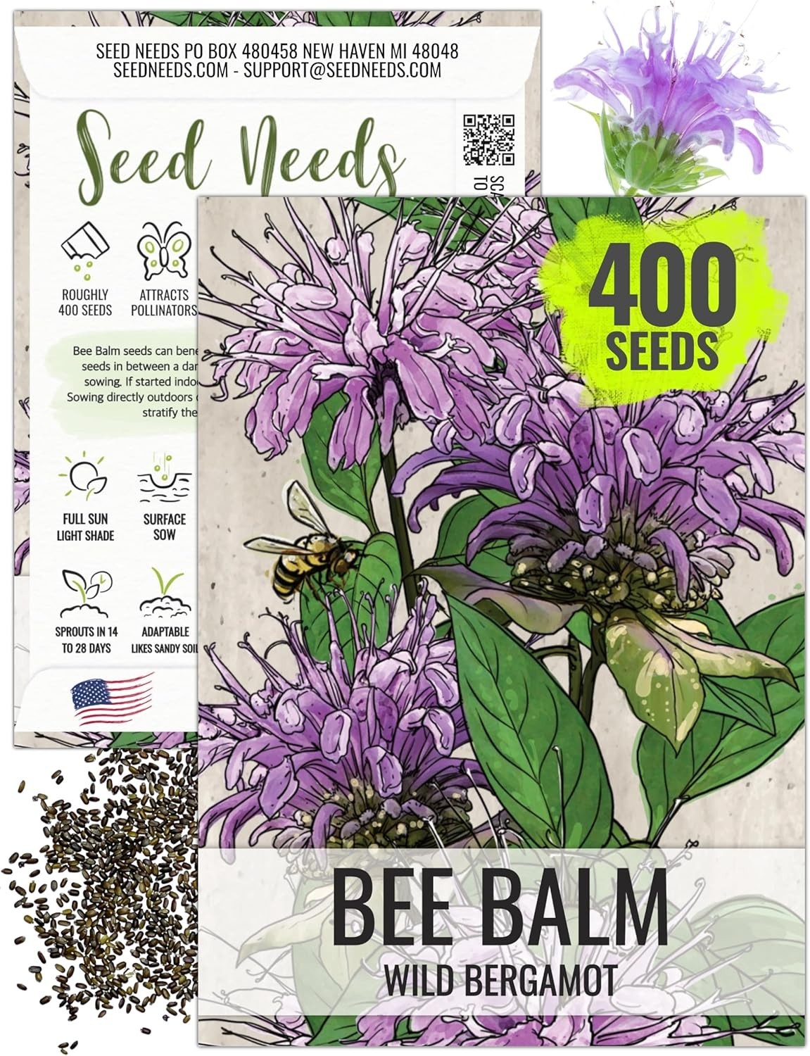 Wild Bergamot Bee Balm Seeds – Attract Bees & Butterflies to Your Garden, 1 Pack