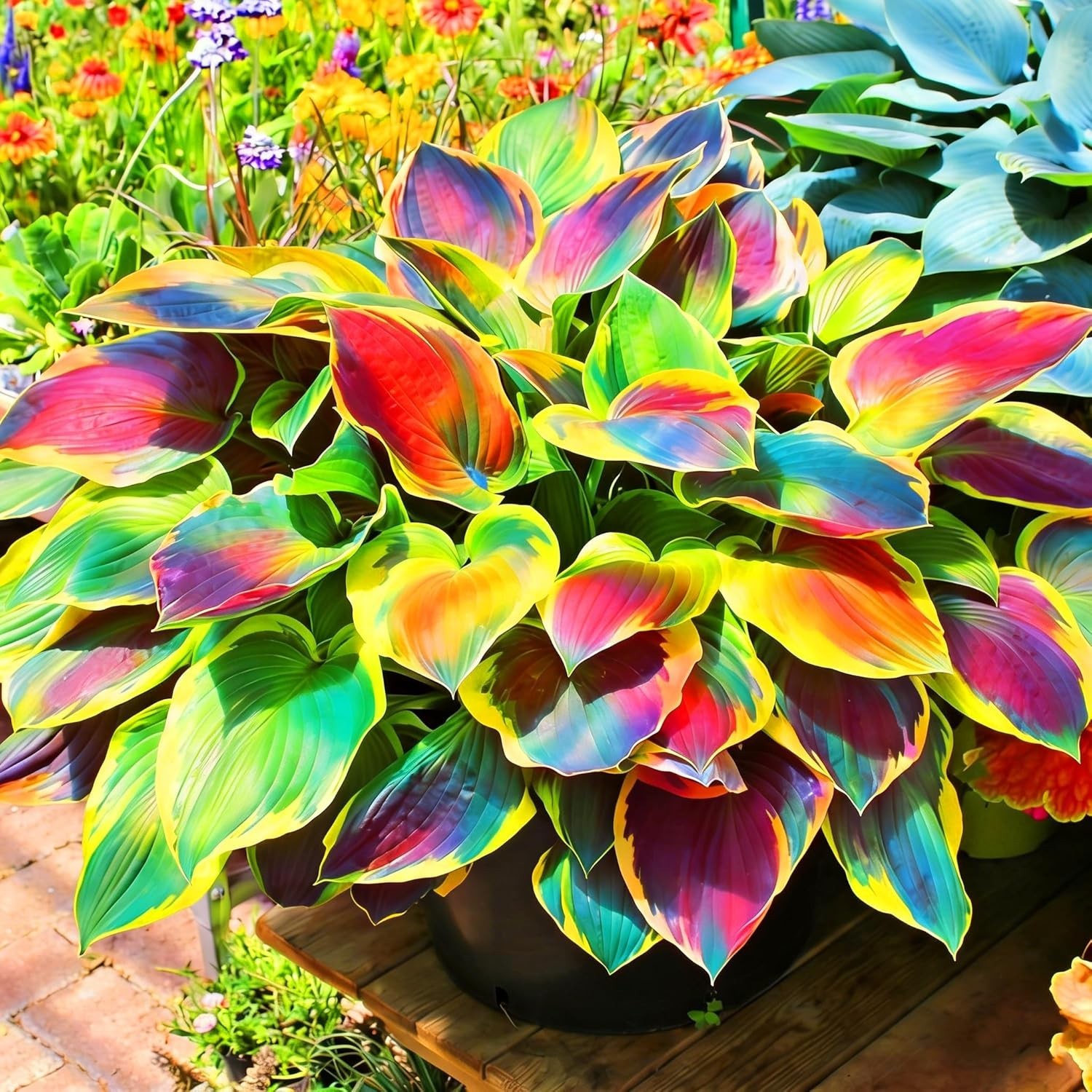 200+ Hosta Flower Seeds – Long-Blooming, Rare Perennial, Shaded Entry Pathway