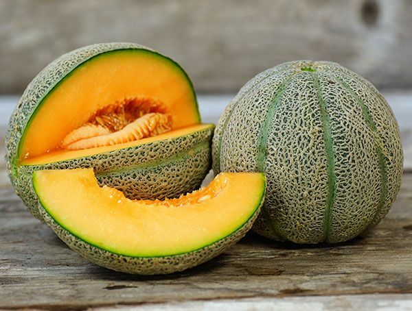 15 Organic Heart Of Gold Melon Seeds, FREE SHIPPING