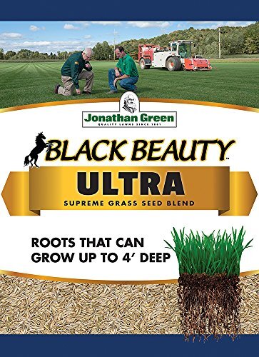 Jonathan Green (10322) Black Beauty Ultra Grass Seed – Cool Season Lawn Seed (7