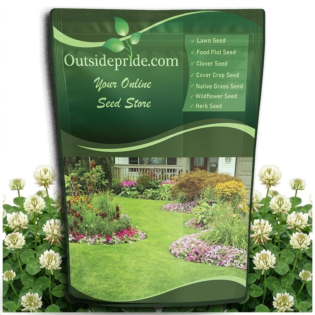 5 lbs Perennial White Dutch Clover Seeds – Nitrocoated, Inoculated, Lawn Alterna
