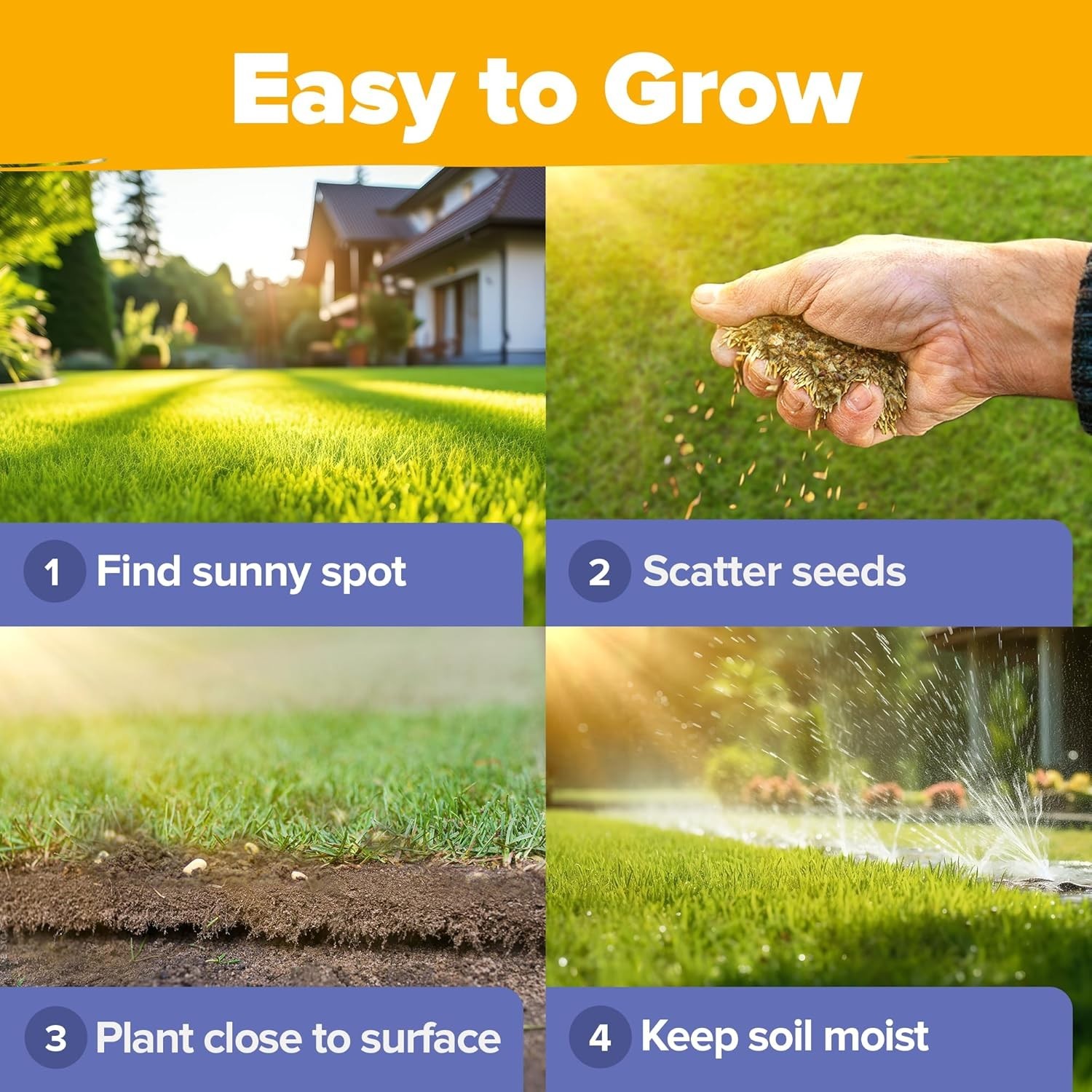 Pollinator Garden Wildflower Seed Mix