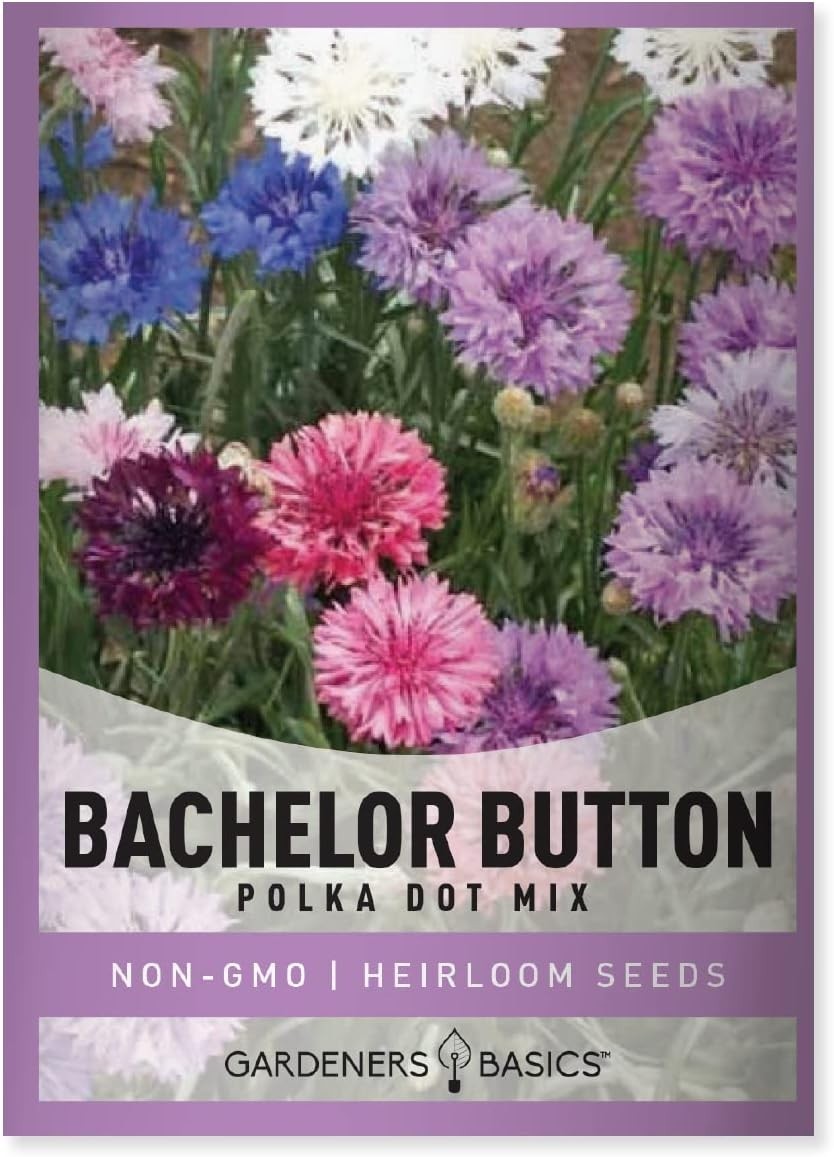 Gardeners Basics Bachelor Button Seeds for Planting Cornflower (Polka Dot Mix) –